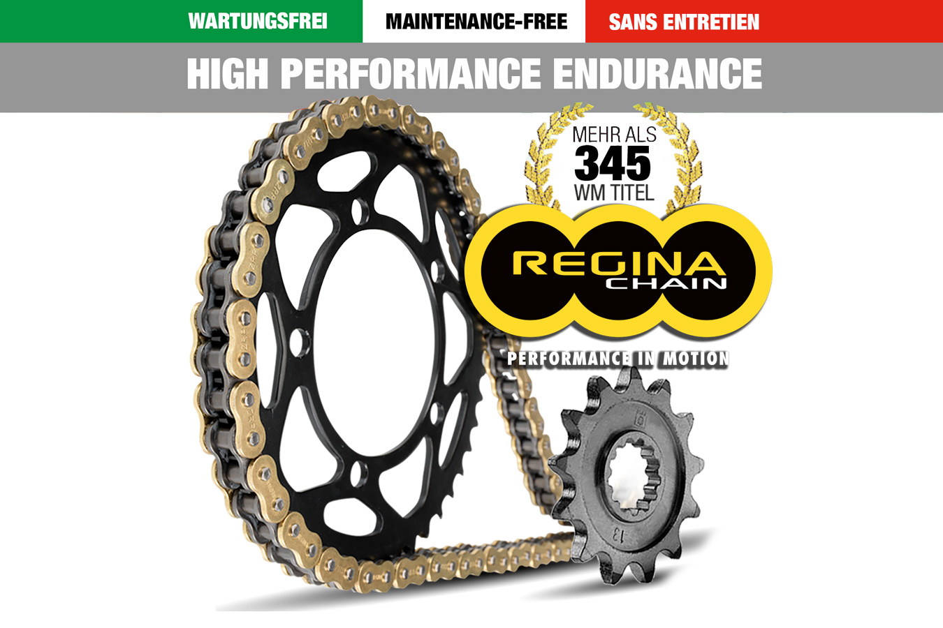 Regina HPE 525 Kettenkit 120 Kettenglieder F 800 R