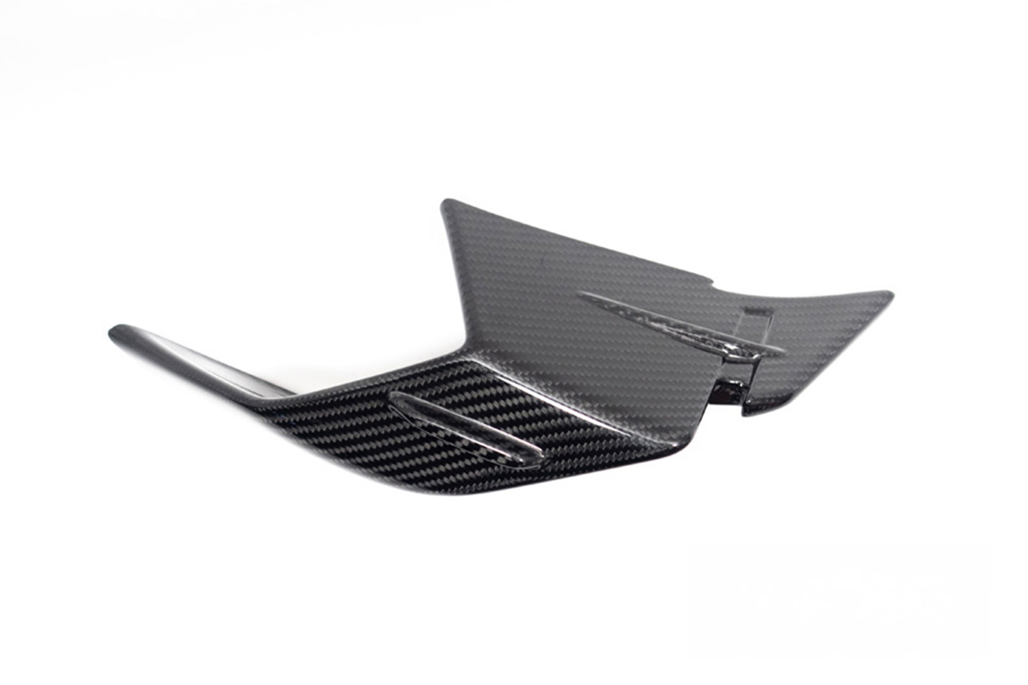 Ilmberger Verkleidungswinglet Carbon BMW S 1000 RR ab 2023