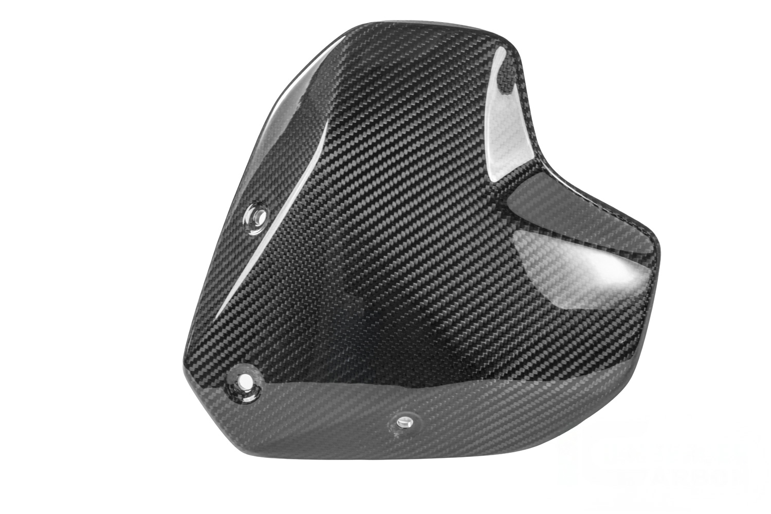 Ilmberger Windschild mit Halter BMW R 1300 R