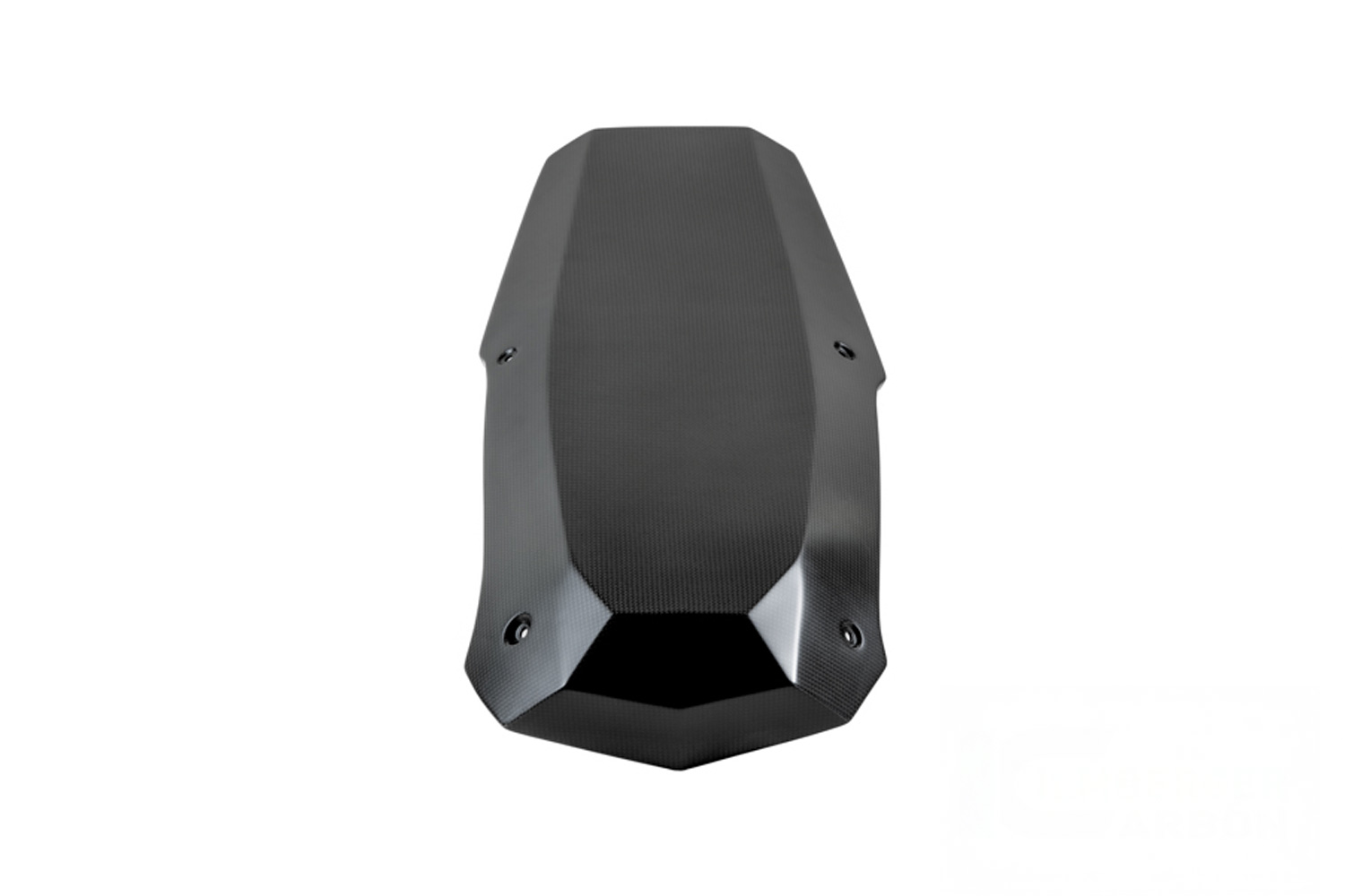Ilmberger motor spoiler carbon matt BMW R 12 nineT 2024