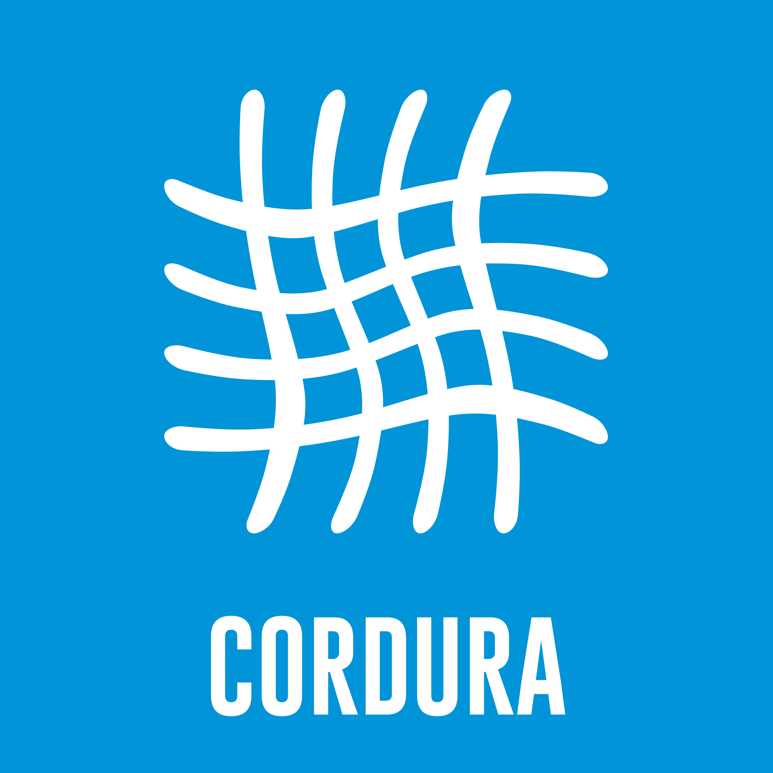 Cordura