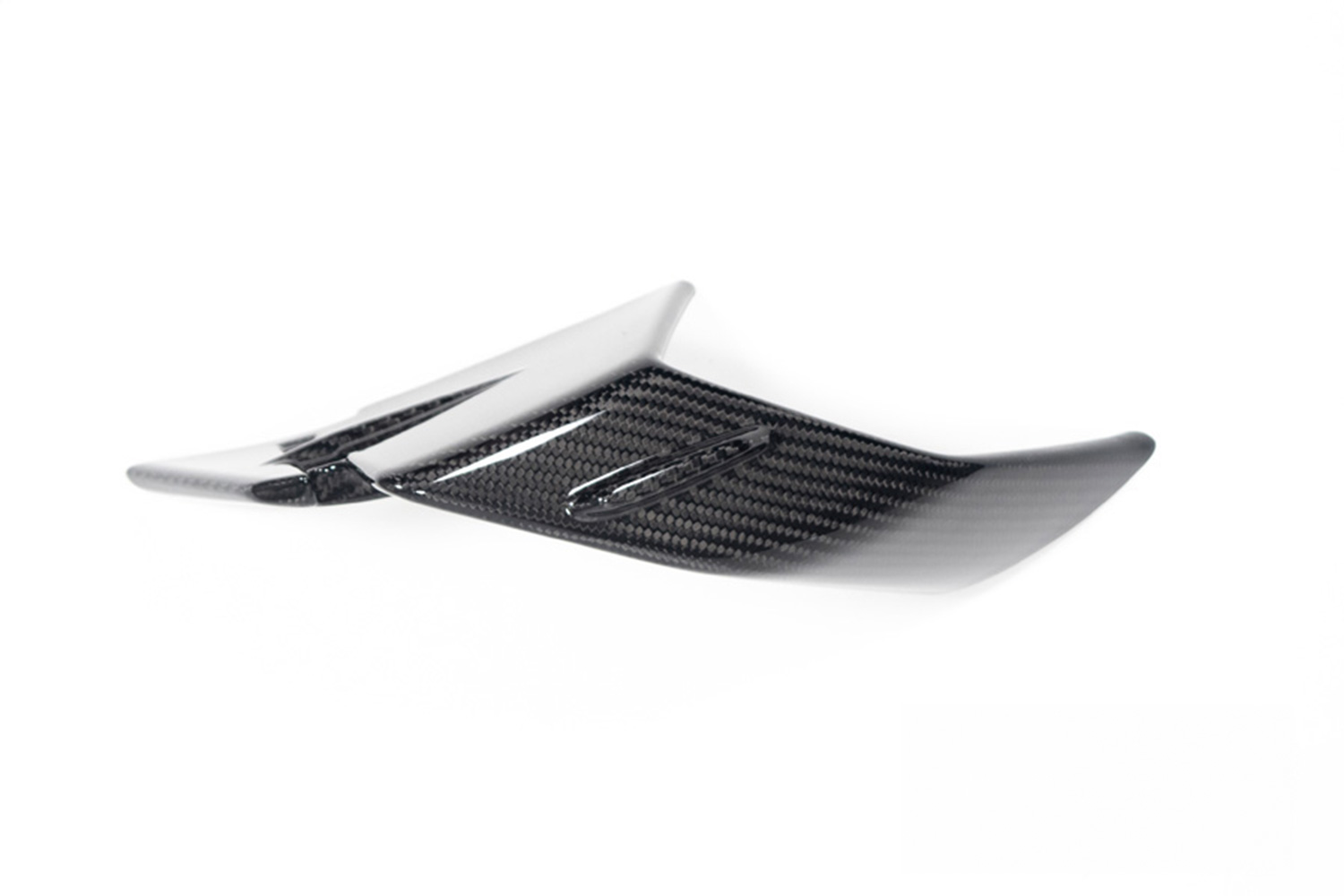 Ilmberger Verkleidungswinglet Carbon BMW S 1000 RR ab 2023