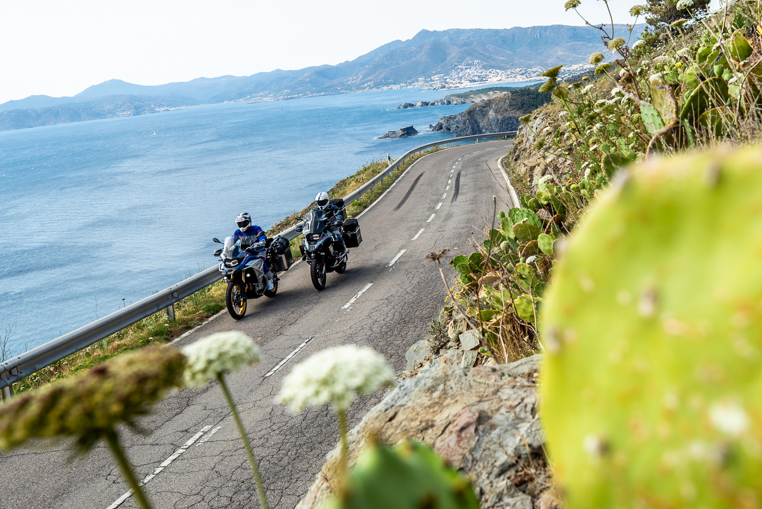 Wunderlich Windshield MARATHON