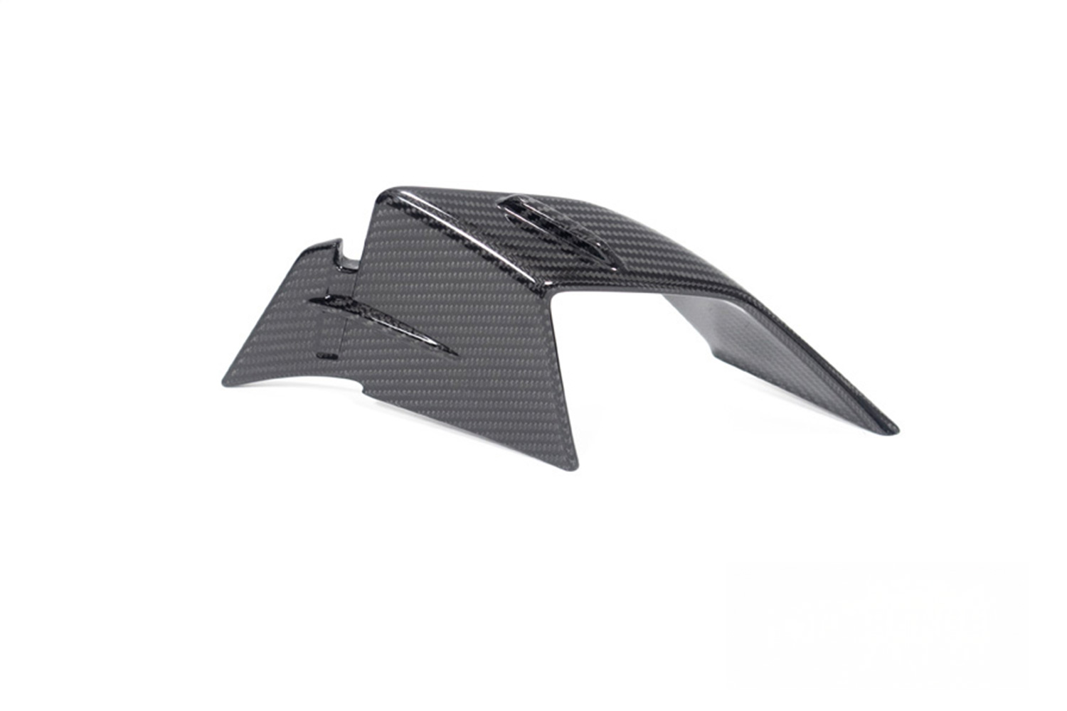 Ilmberger Verkleidungswinglet Carbon BMW S 1000 RR ab 2023