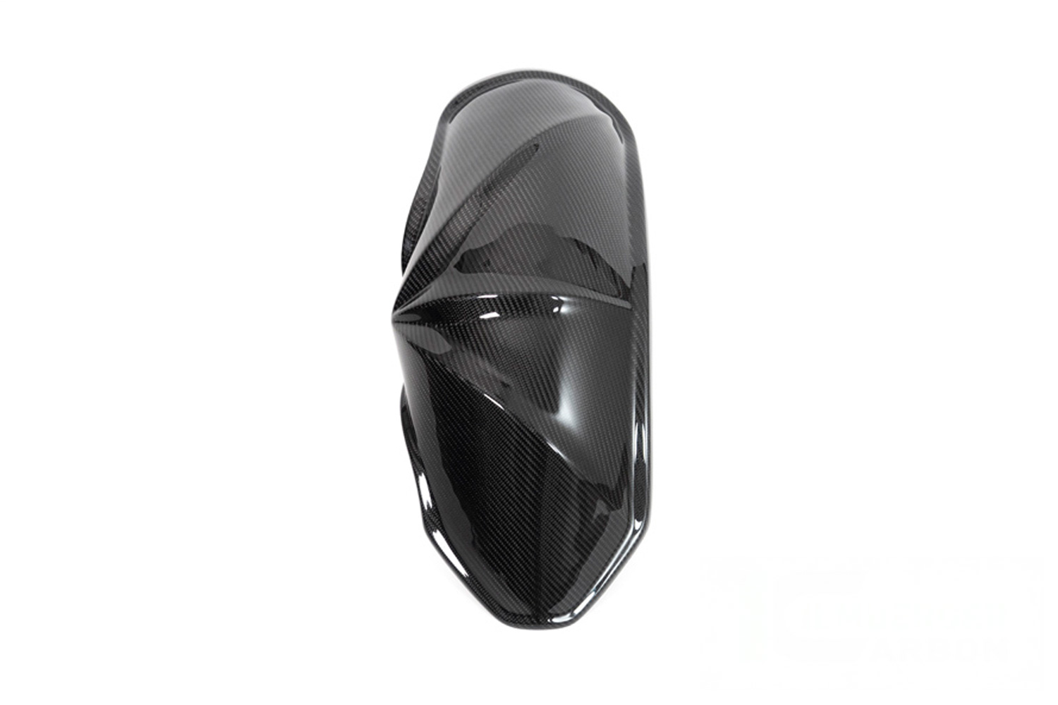 Rear Hugger carbon