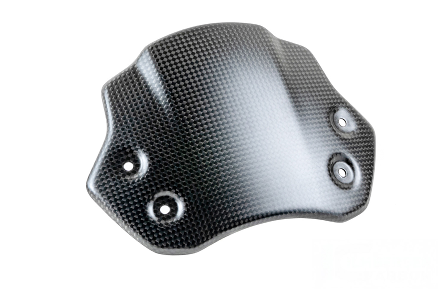 Ilmberger Cúpula en carbono mate BMW R 12 nineT 2024