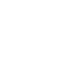 icon-gepaeck-weiss.png