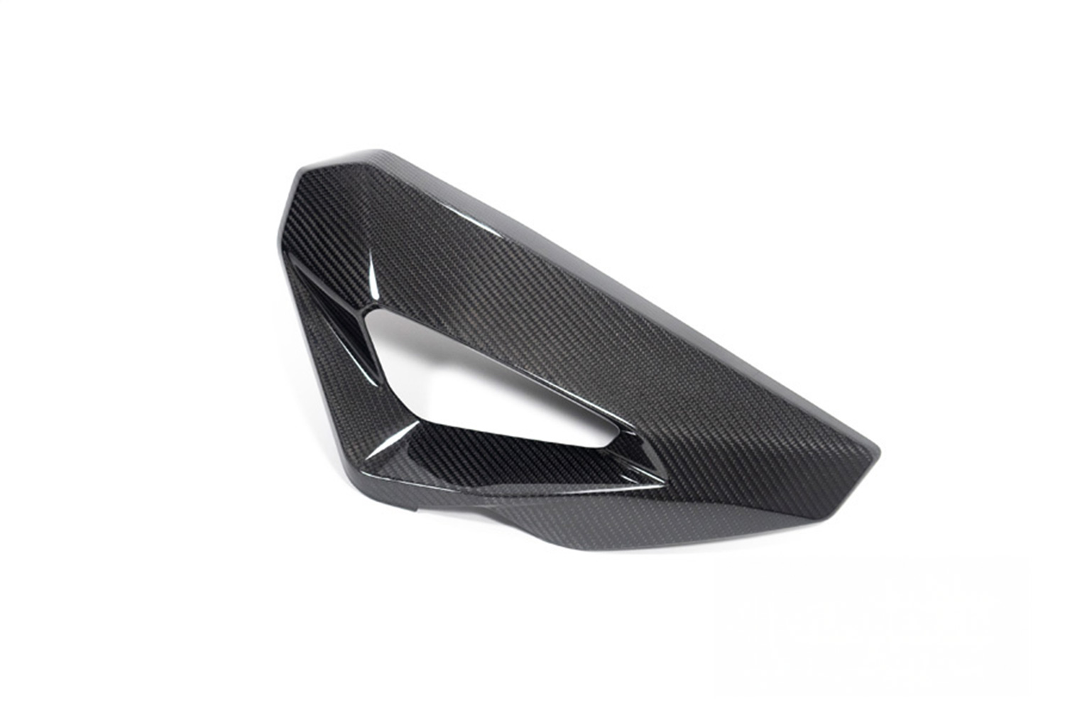 Ilmberger Seitendeckel an der Wasserkühlerverkleidung Carbon BMW S 1000 XR 2024