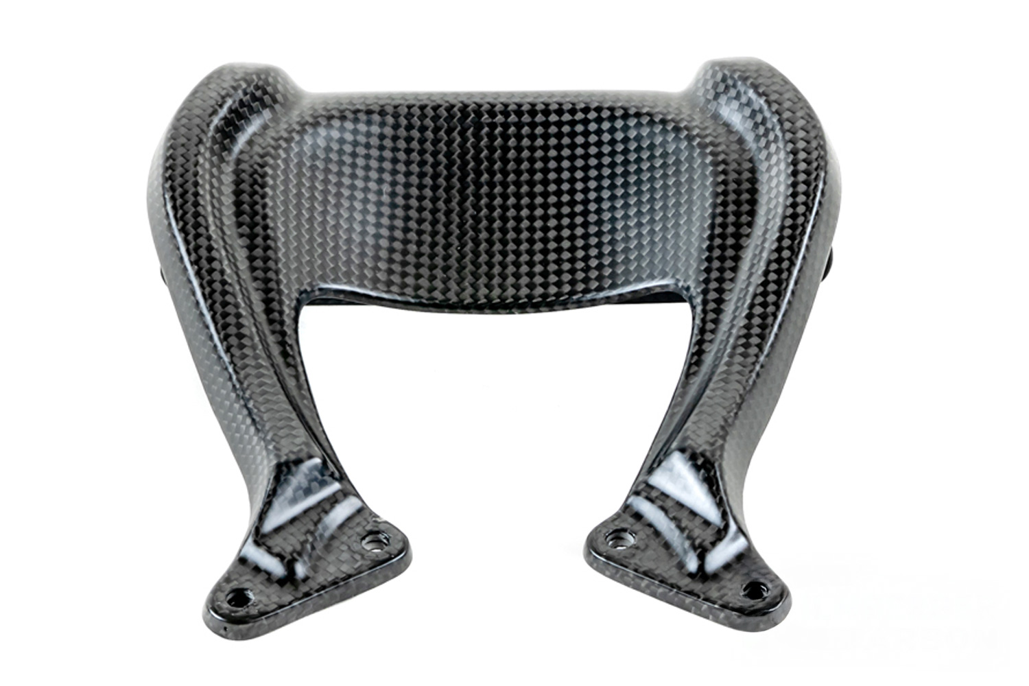 Ilmberger Cúpula en carbono mate BMW R 12 nineT 2024