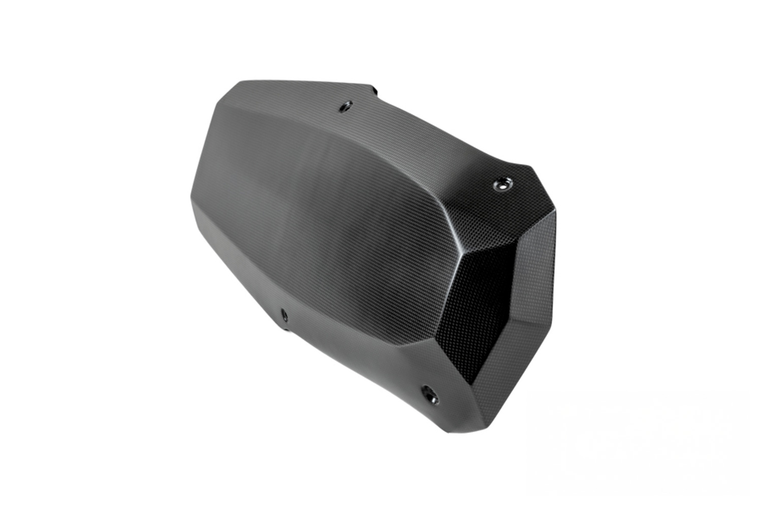 Ilmberger motor spoiler carbon matt BMW R 12 nineT 2024