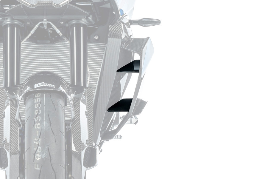 Ilmberger Winglet innen M 1000 XR