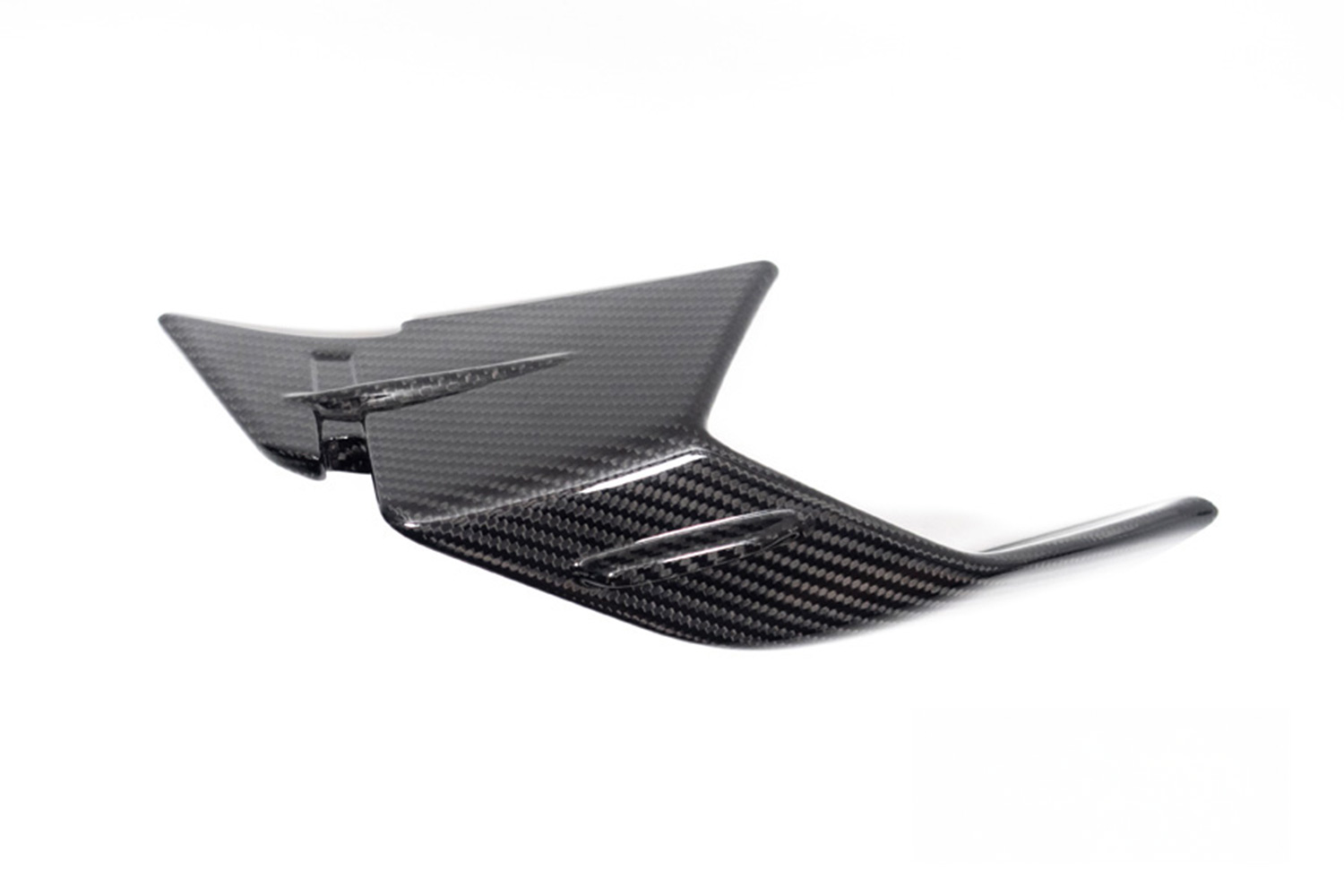 Ilmberger Verkleidungswinglet Carbon BMW S 1000 RR ab 2023
