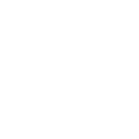 icon-schutz-weiss.png