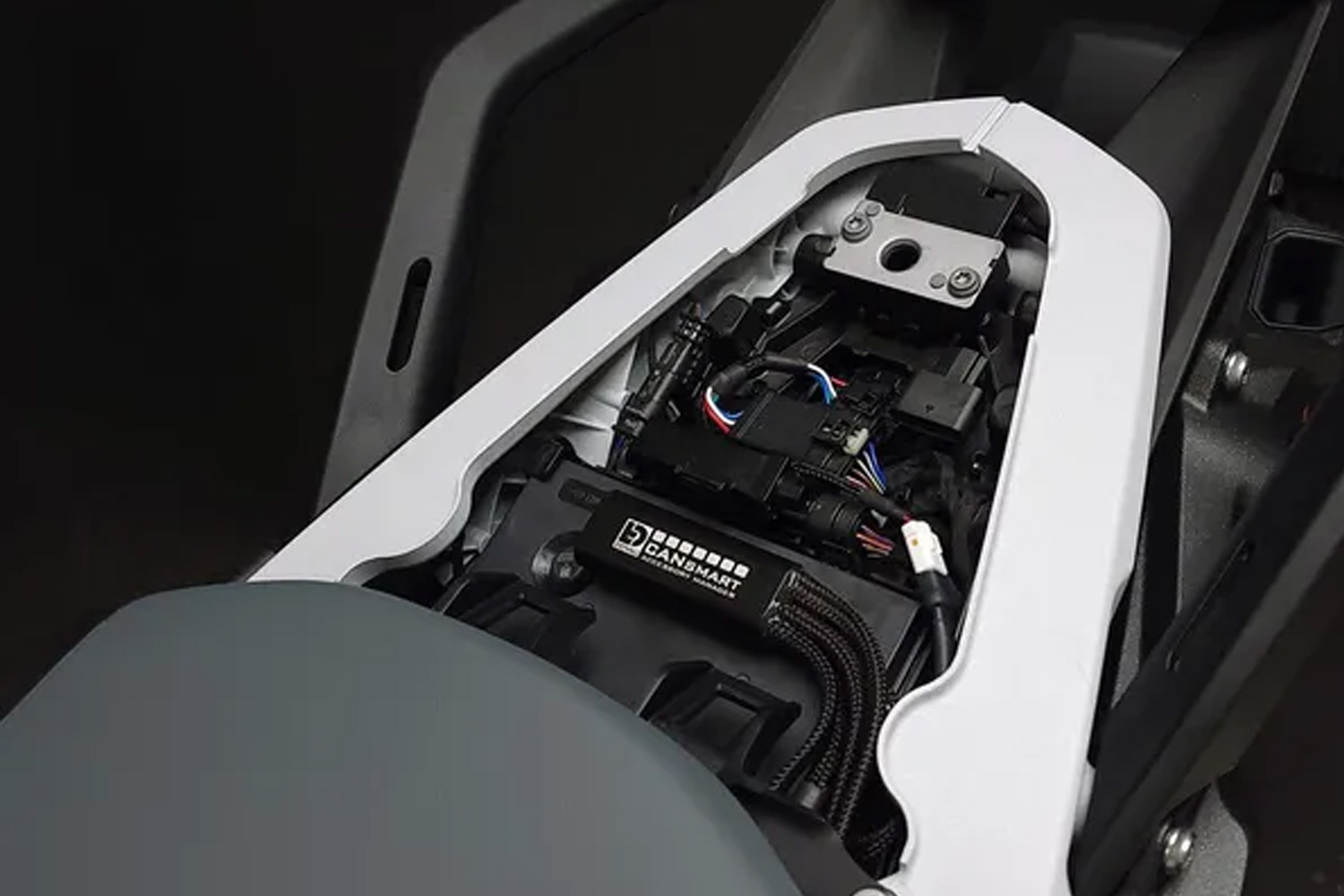 DENALI CANsmart GEN II per R 1300 GS